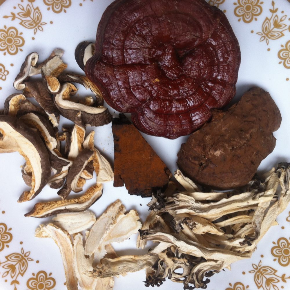 Ingredients for an Immune Boosting Tea Clockwise from the top: Reichi, Artists' Conk, Chaga (centre), Maitake, Ginseng, Shiitake