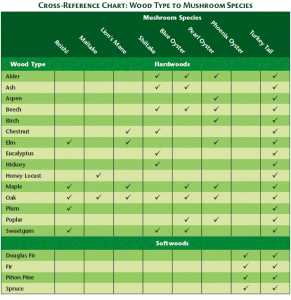Plug spawn wood chart: Various species of fungi have preferences for different types of wood. Many cultivated strains can be grown on a wider variety of woods than indicated.