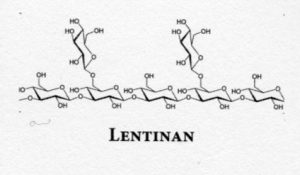 Lentinan is a polysaccharide isolated from the fruit body of shiitake (Lentinula edodes mycelium. Lentinan has been approved as an adjuvant for stomach cancer in Japan since 1985.[1] Lentinan is one of the host-mediated anti-cancer drugs which has been shown to affect host defense immune systems.